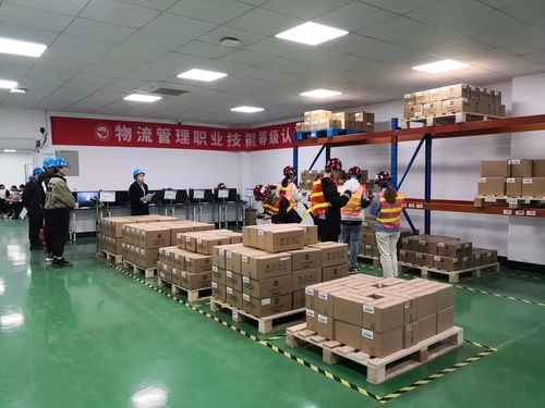 走過2019，奮斗的足跡——成果展學(xué)院篇之外語外貿(mào)學(xué)院、建筑工程學(xué)院、創(chuàng)意設(shè)計學(xué)院與策劃創(chuàng)意服務(wù)